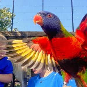 Meet your Posher, Cory